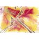 SelectaColor Four-Color kit SelectaColor Four-Color kit