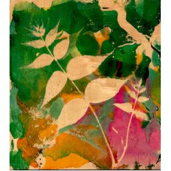 SelectaColor Four-Color kit