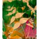 SelectaColor Four-Color kit SelectaColor Four-Color kit