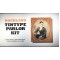 Tintype Parlor Kit